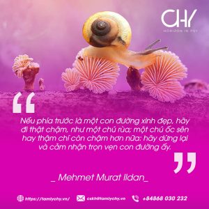 12. Mehmet Murat Ildan